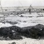 The scene three weeks afterwards, with several bodies partially wrapped in blankets in the foreground.