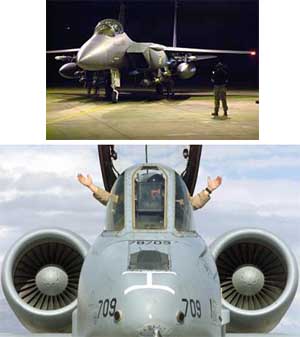 F-15E 'Strike Eagle', top, and A-10 'Warthog'